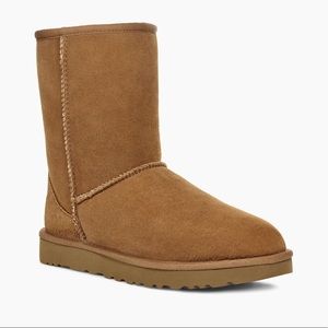 Chestnut UGG Boots (tall)